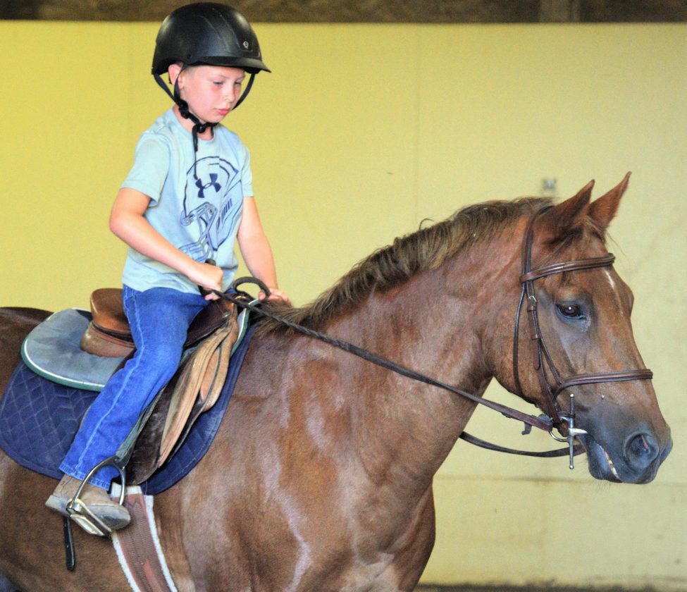 Oglebay Stables Provide Tranquility in a Time of Turmoil News,